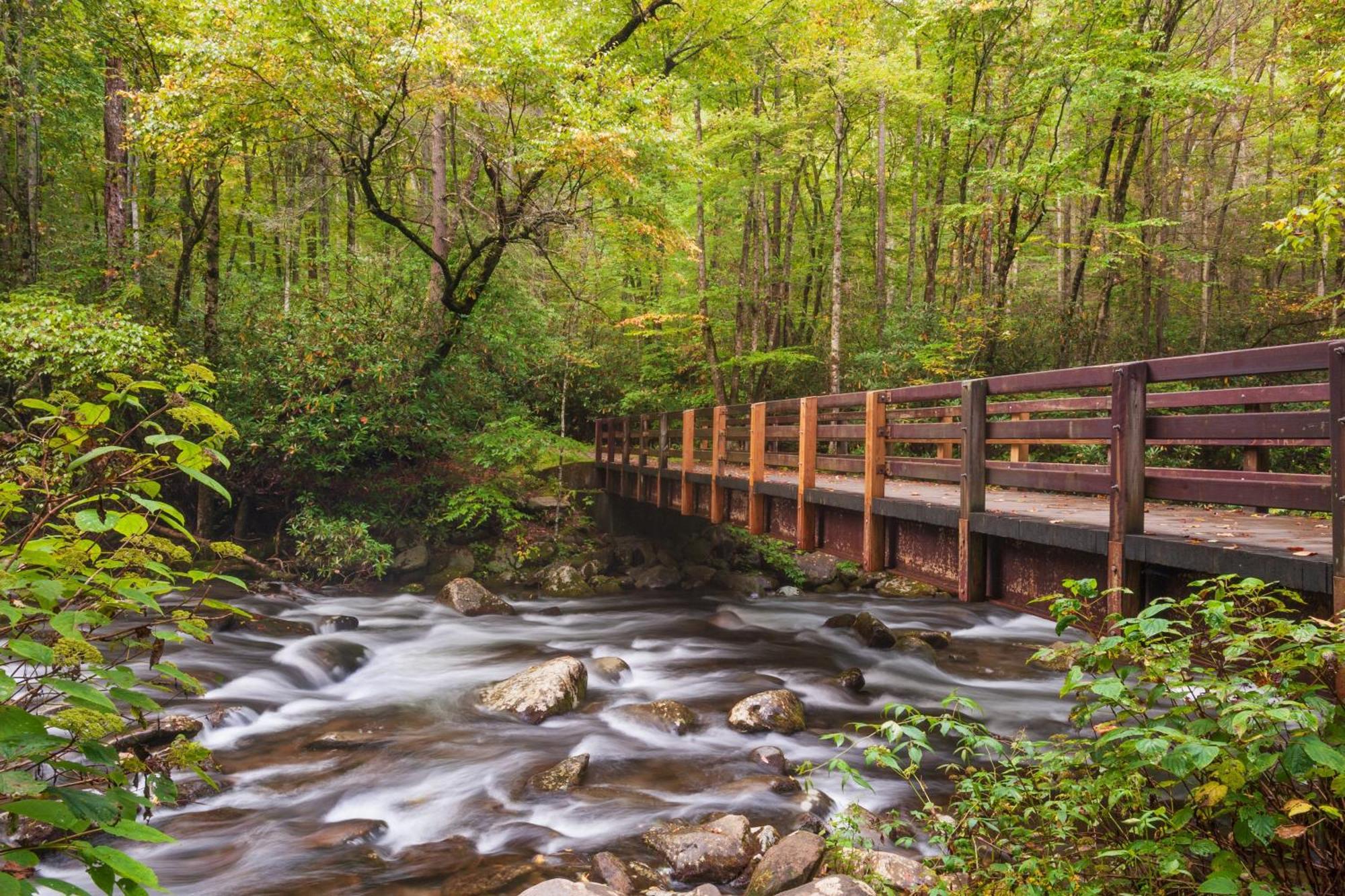 Lazy Bear Lodge, Hot Tub, Resort Pool, Wifi, 1089 Free Tickets Each Paid Day, Dollywood And More Gatlinburg Exterior foto